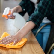 produtos para limpar móveis de madeira