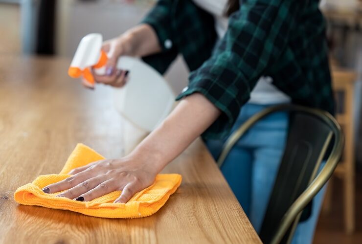 produtos para limpar móveis de madeira