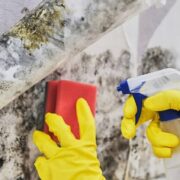 Como tirar modo de móveis de madeira