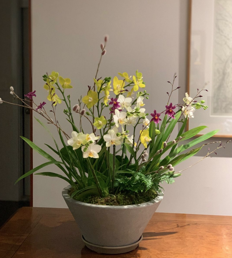Vaso com orquídeas nas cores branco, amarelo e roxo. 