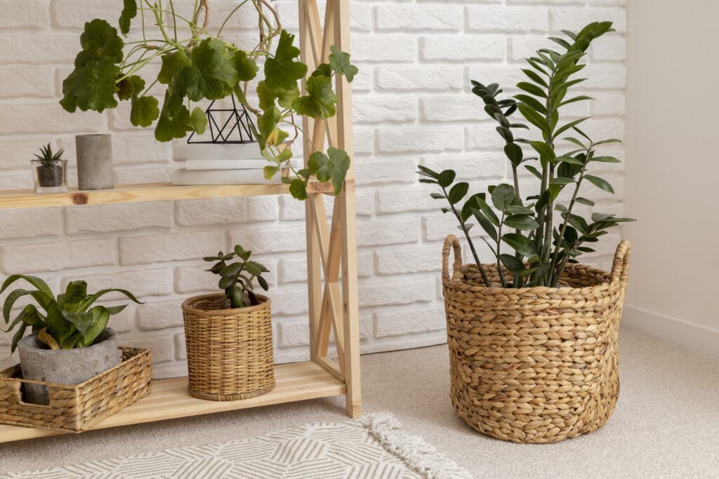 Ambiente decorado com plantas.