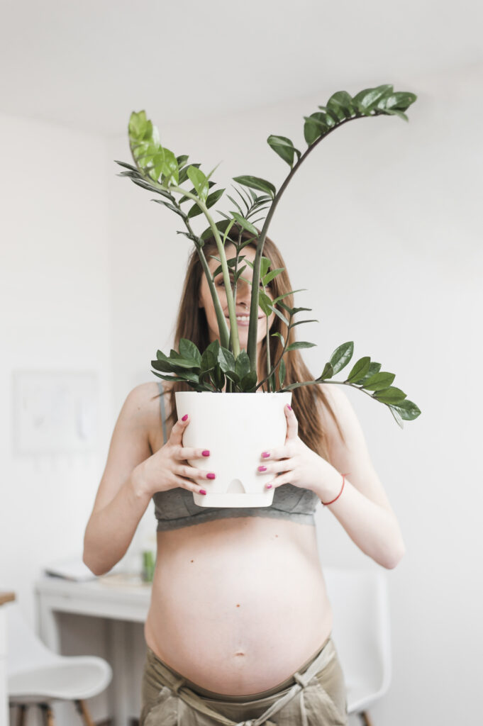 Mulher grávida segurando vaso de zamioculca.