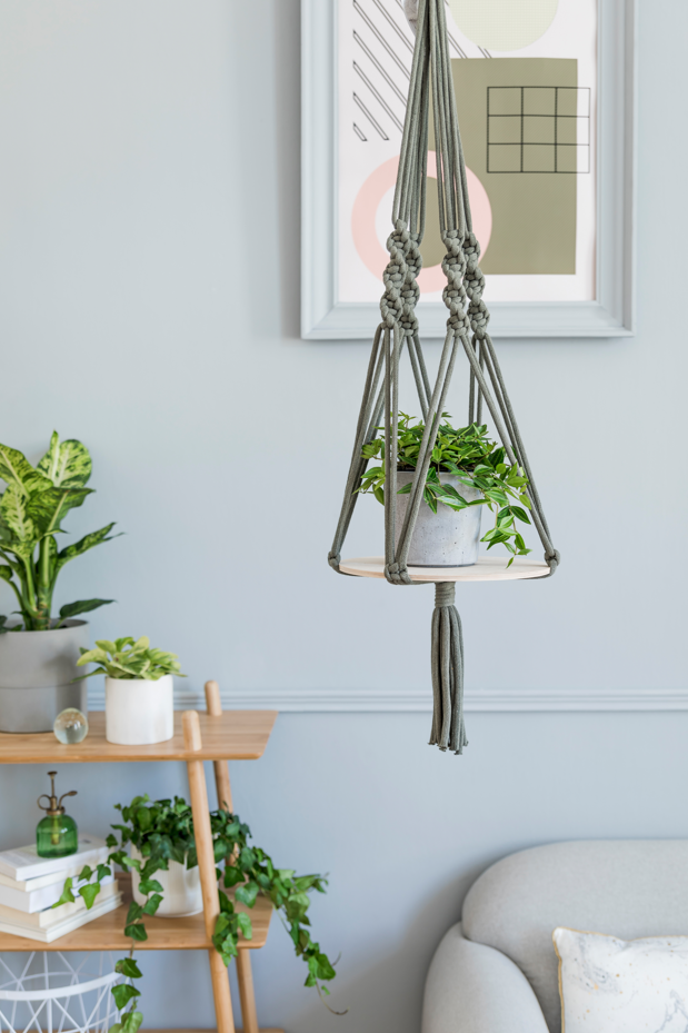 Plantas na sala