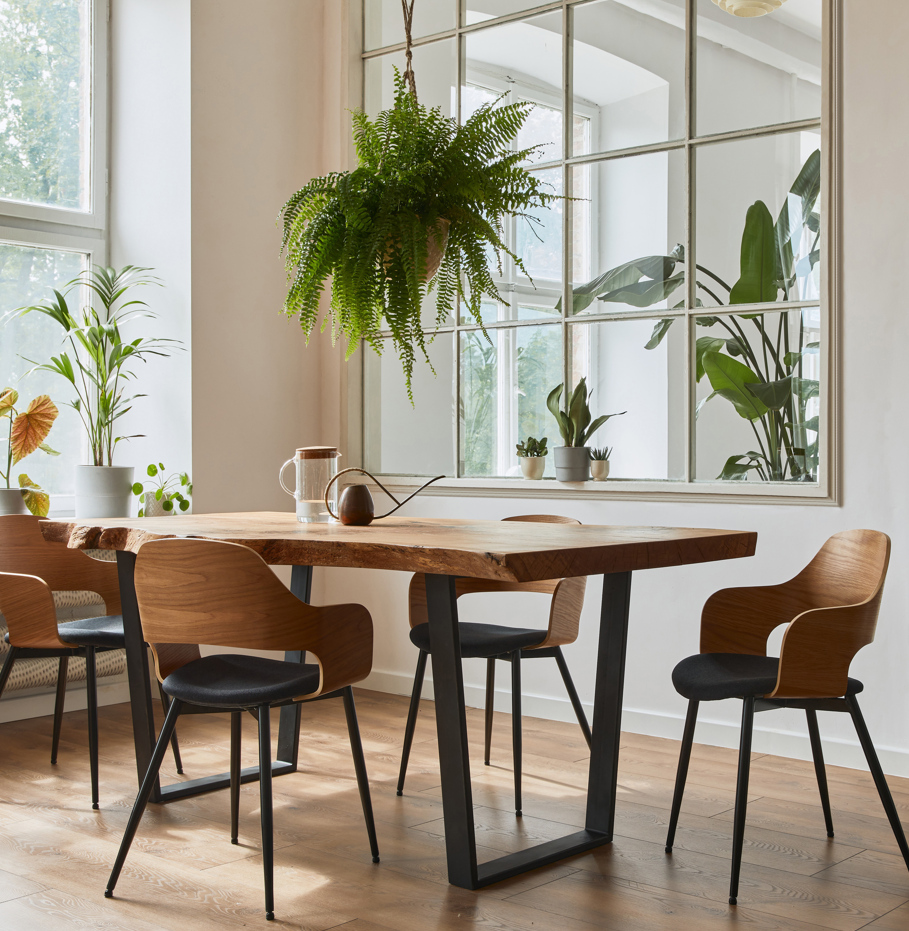 Sala de jantar decorada com plantas