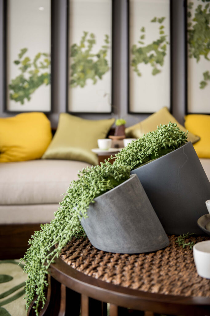 Design biofílico com vasos de cerâmica e plantas verdes e ao fundo quadros que remetem à natureza.
