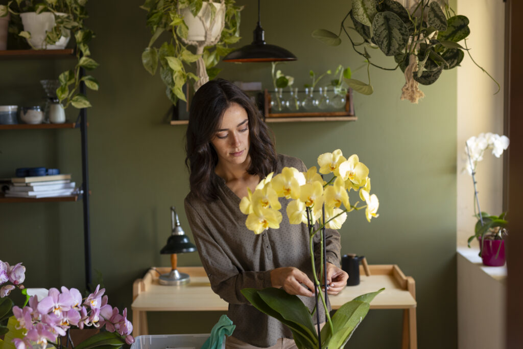 Mulher cuidando de orquídeas amarelas em ambiente interno de casa com parede verde e outras plantas. 